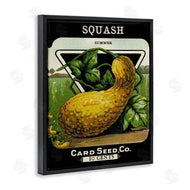 Stupell Studio | Vintage Garden Squash