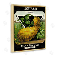 Stupell Studio | Vintage Garden Squash