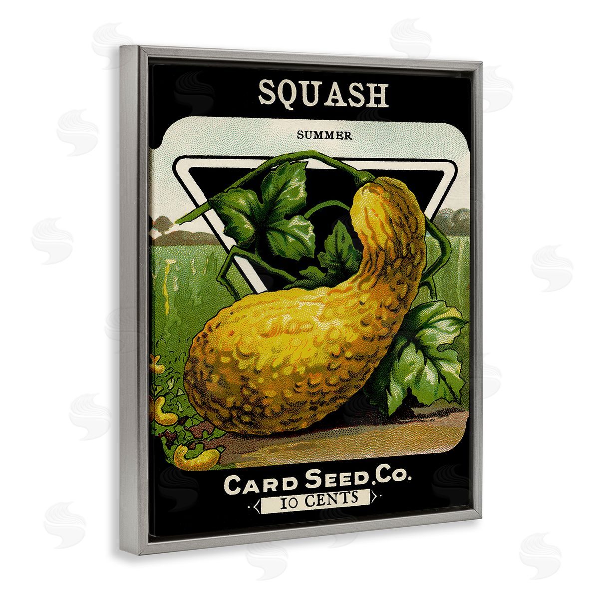 Vintage Garden Squash Grey Floating Frame Canvas Wall Art, Home Decor by Stupell Studio