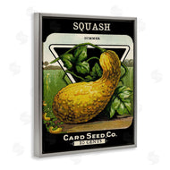 Stupell Studio | Vintage Garden Squash