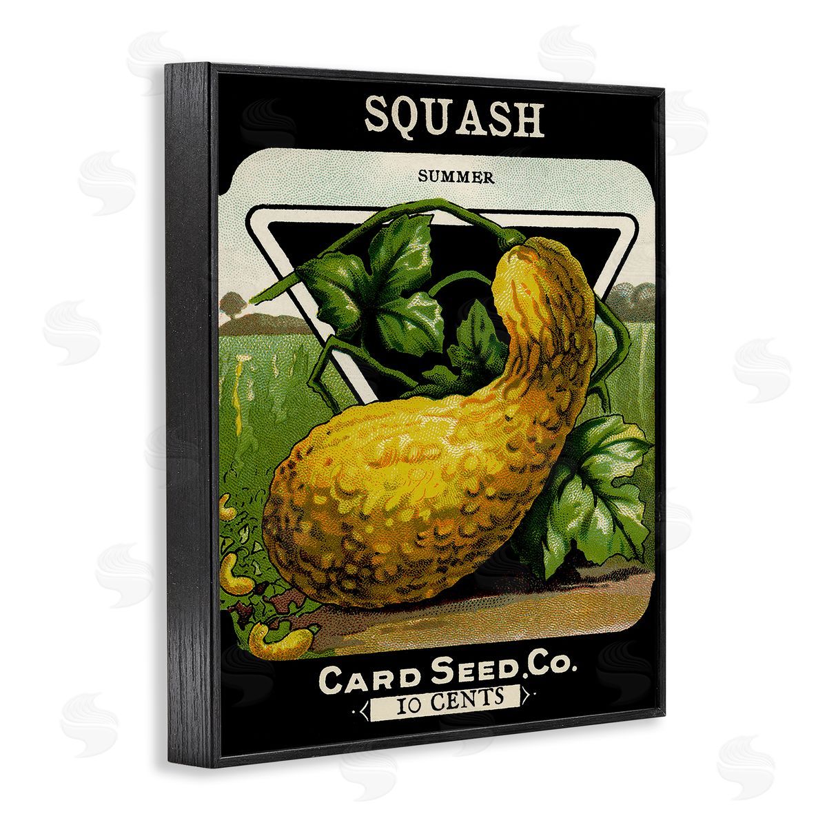 Vintage Garden Squash Black Frame Print Wall Art, Home Decor by Stupell Studio