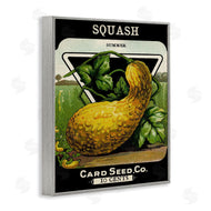 Stupell Studio | Vintage Garden Squash