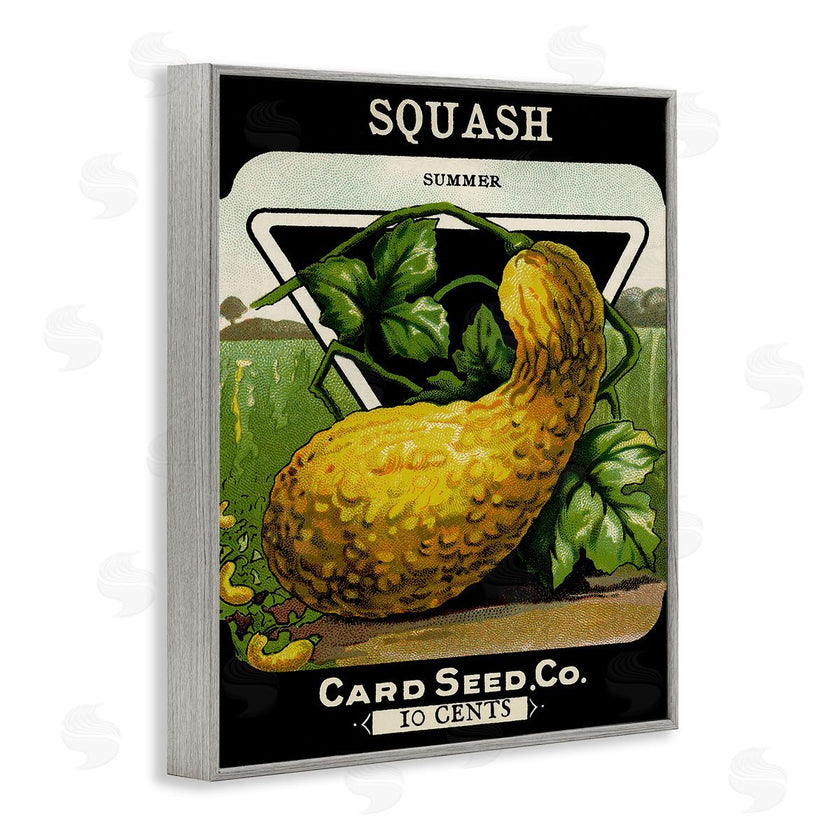 Stupell Studio | Vintage Garden Squash