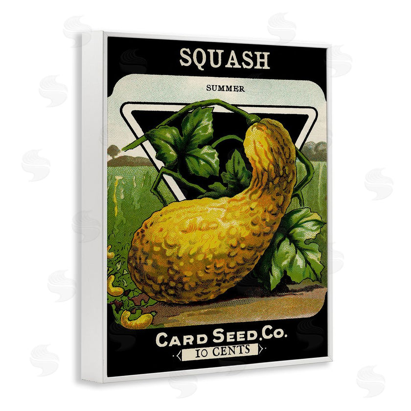 Stupell Studio | Vintage Garden Squash
