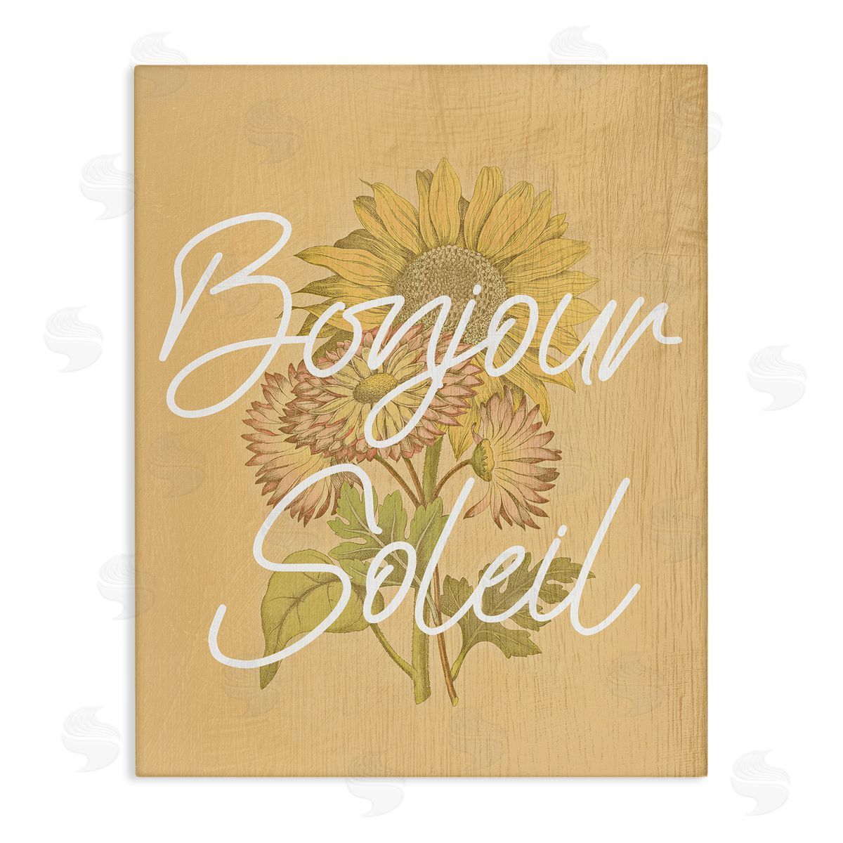 Hello Sunshine French Phrase Canvas Wall Art, Home Decor by Stupell Studio