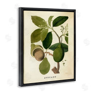 Stupell Studio | Vintage Avocado Plant