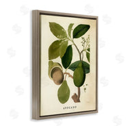 Stupell Studio | Vintage Avocado Plant