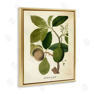 Stupell Studio | Vintage Avocado Plant