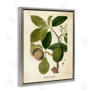 Stupell Studio | Vintage Avocado Plant