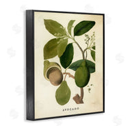 Stupell Studio | Vintage Avocado Plant