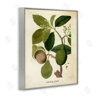 Stupell Studio | Vintage Avocado Plant