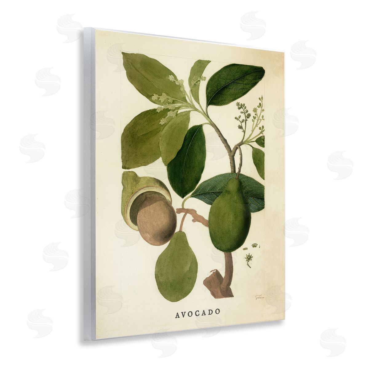 Vintage Avocado Plant Wood Plaque Wall Art, Home Decor by Stupell Studio