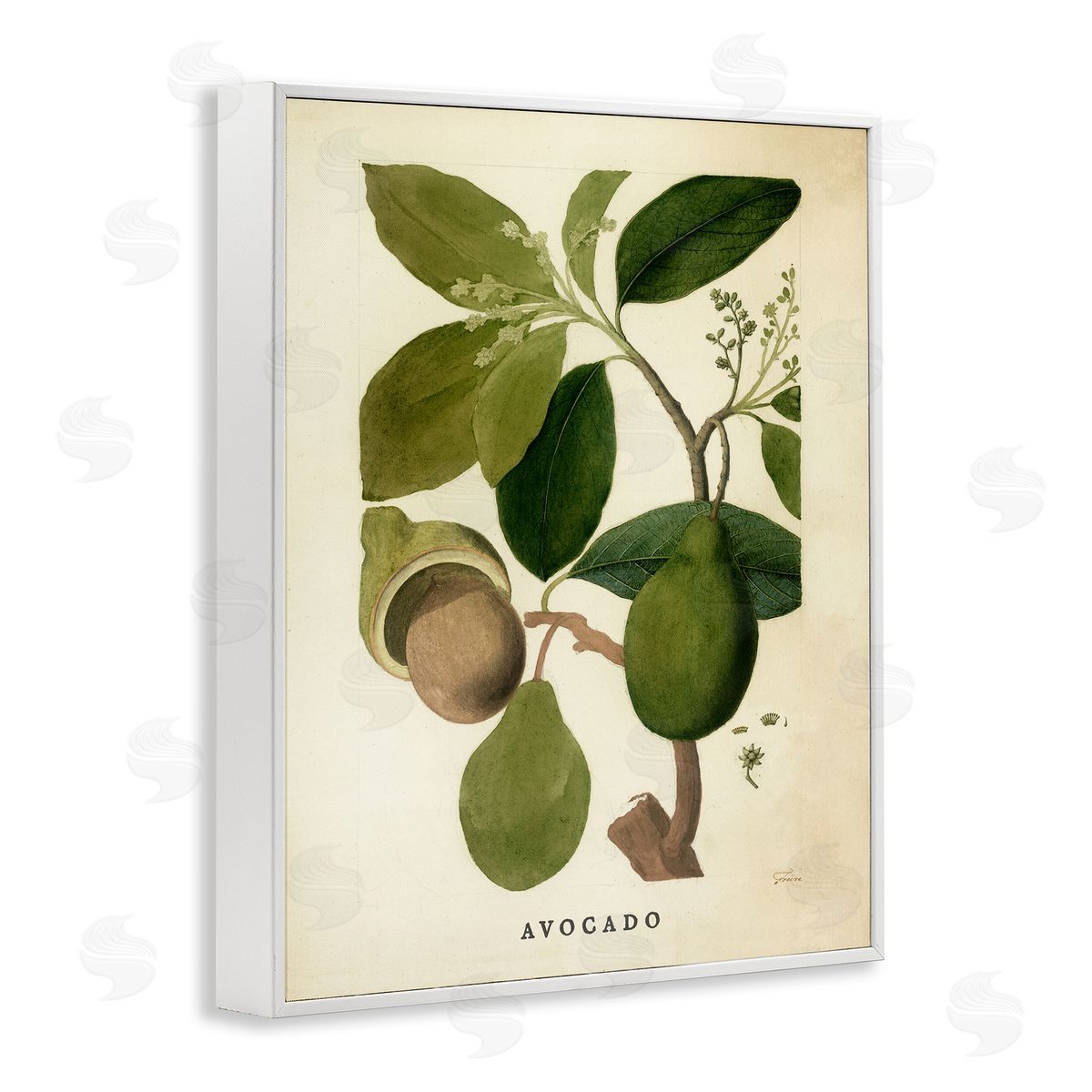 Vintage Avocado Plant White Frame Print Wall Art, Home Decor by Stupell Studio