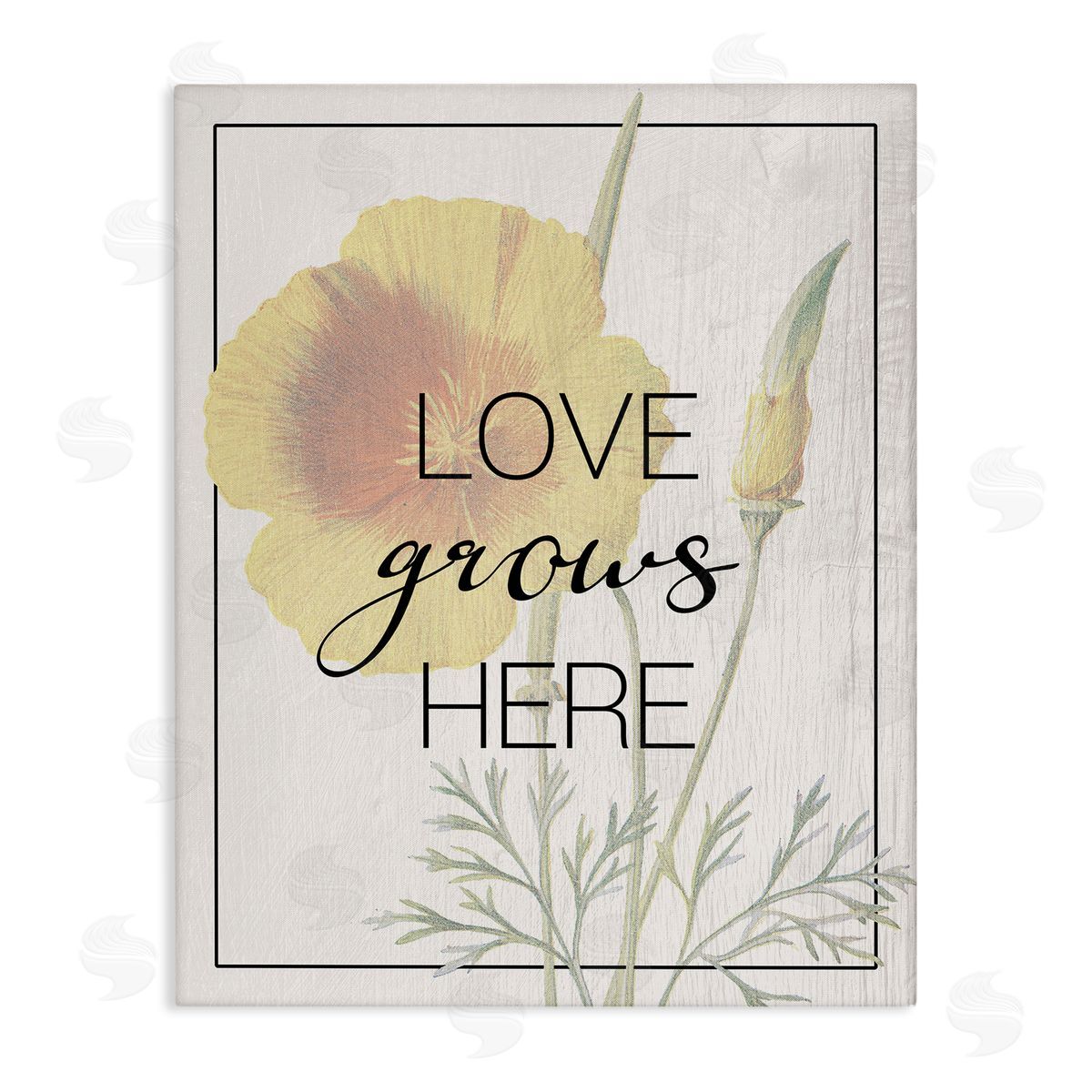 Vintage Love Grows Here Canvas Wall Art, Home Decor by Stupell Studio