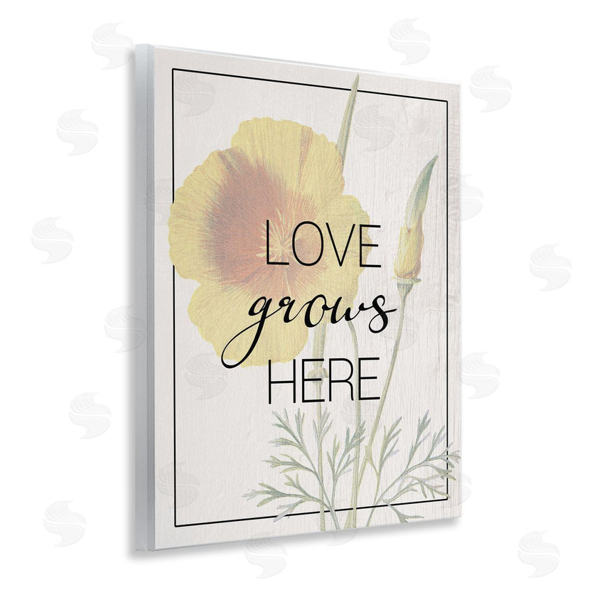 Stupell Studio | Vintage Love Grows Here