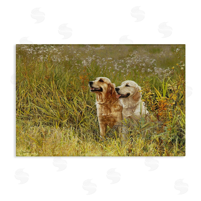 Sueellen Ross | Happy Dogs Field Day