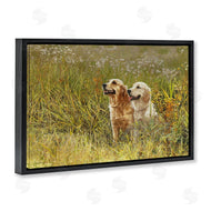 Sueellen Ross | Happy Dogs Field Day