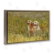 Sueellen Ross | Happy Dogs Field Day