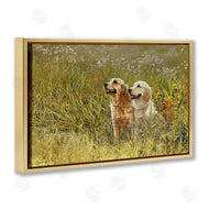 Sueellen Ross | Happy Dogs Field Day