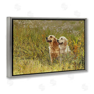 Sueellen Ross | Happy Dogs Field Day