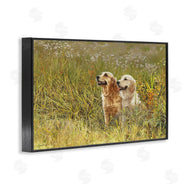 Sueellen Ross | Happy Dogs Field Day