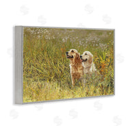 Sueellen Ross | Happy Dogs Field Day