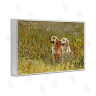 Sueellen Ross | Happy Dogs Field Day