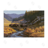 Paco Young | Bison Trailing Serene Stream