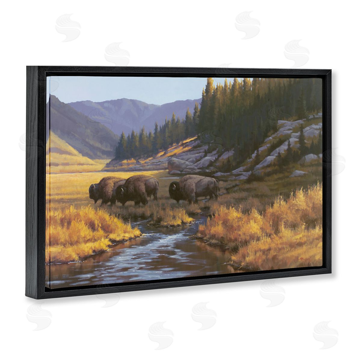 Paco Young | Bison Trailing Serene Stream