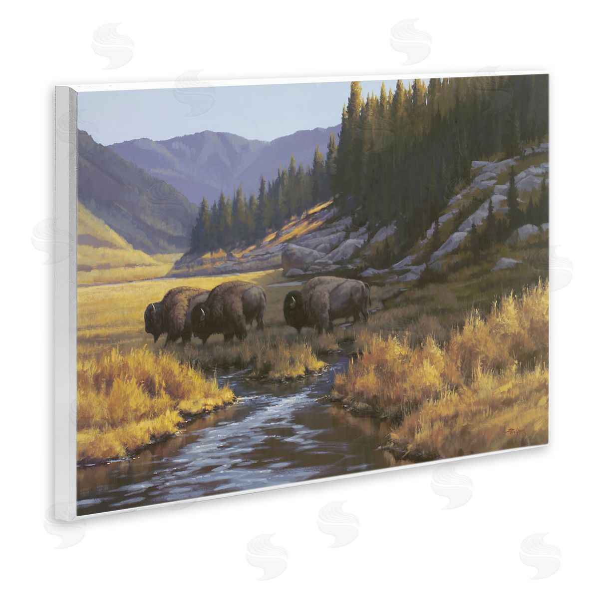 Paco Young | Bison Trailing Serene Stream