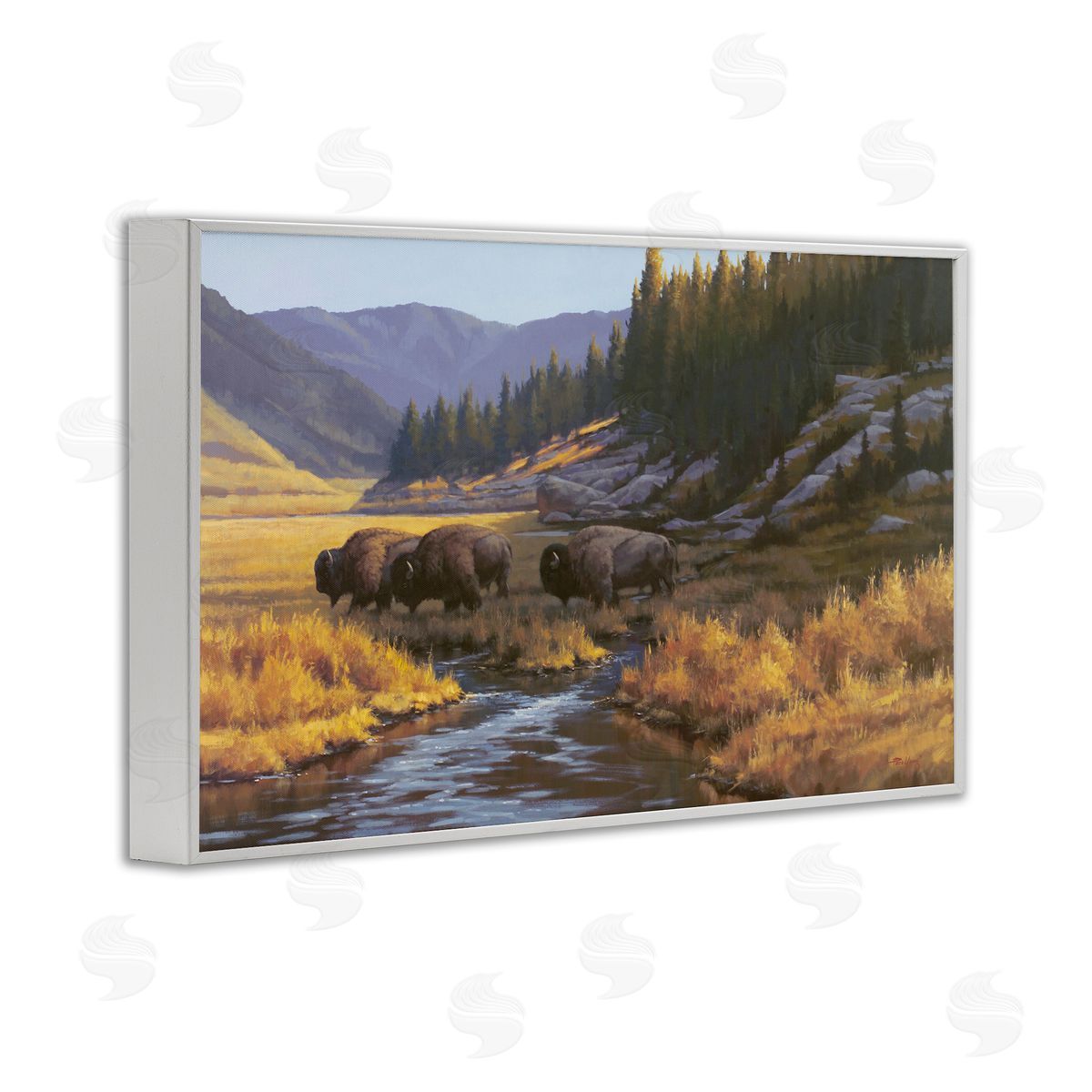 Paco Young | Bison Trailing Serene Stream