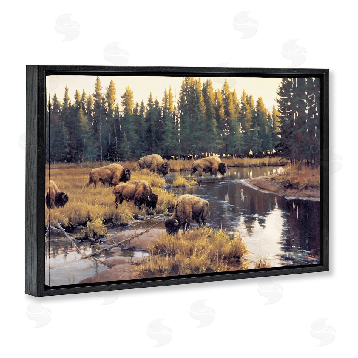 Paco Young Grazing Bison Along Riverbank Canvas Wall Art Print