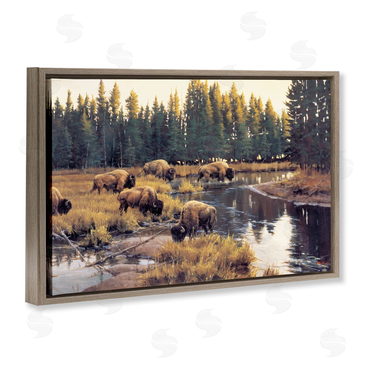 Paco Young Grazing Bison Along Riverbank Canvas Wall Art Print