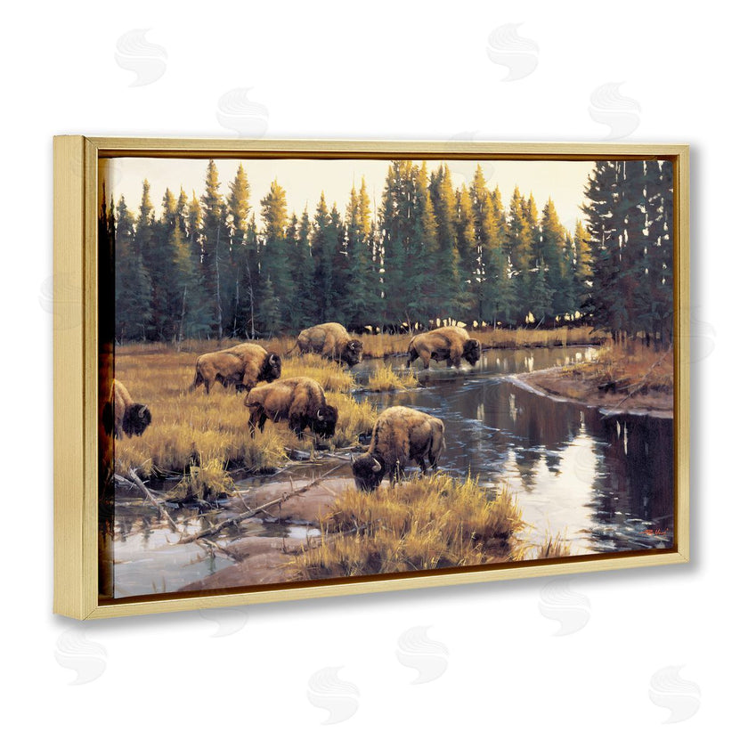 Paco Young | Grazing Bison Along Riverbank
