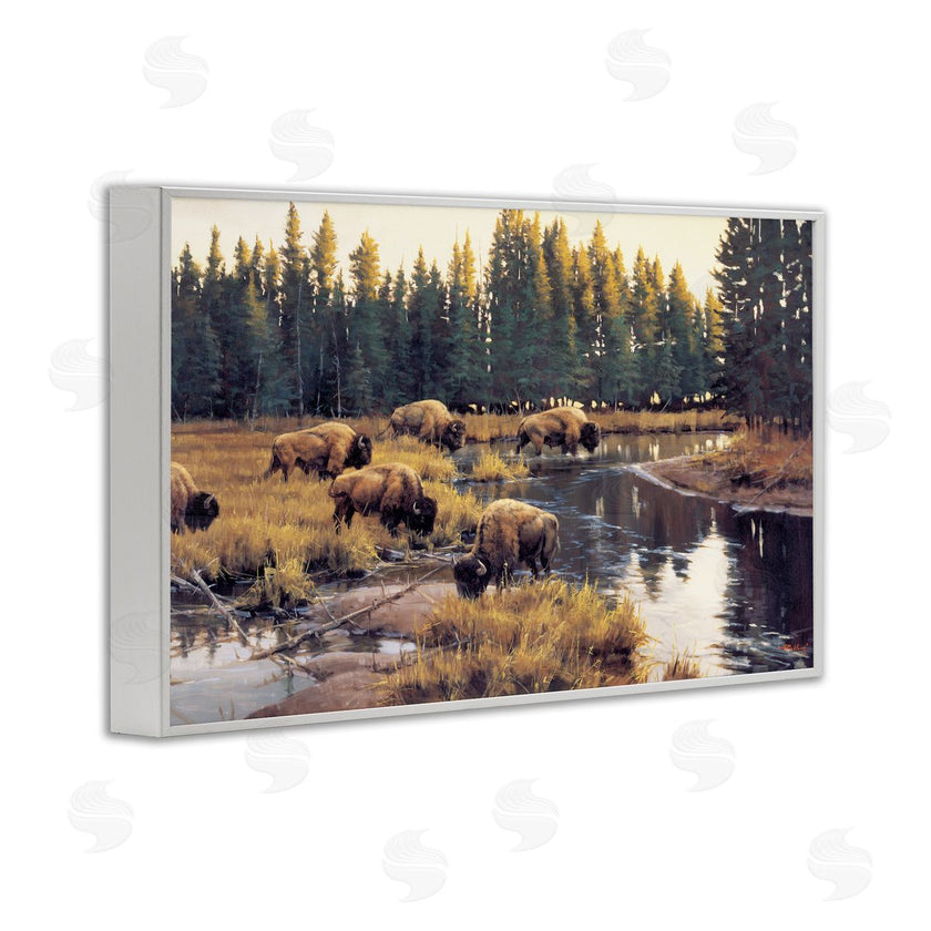 Paco Young | Grazing Bison Along Riverbank