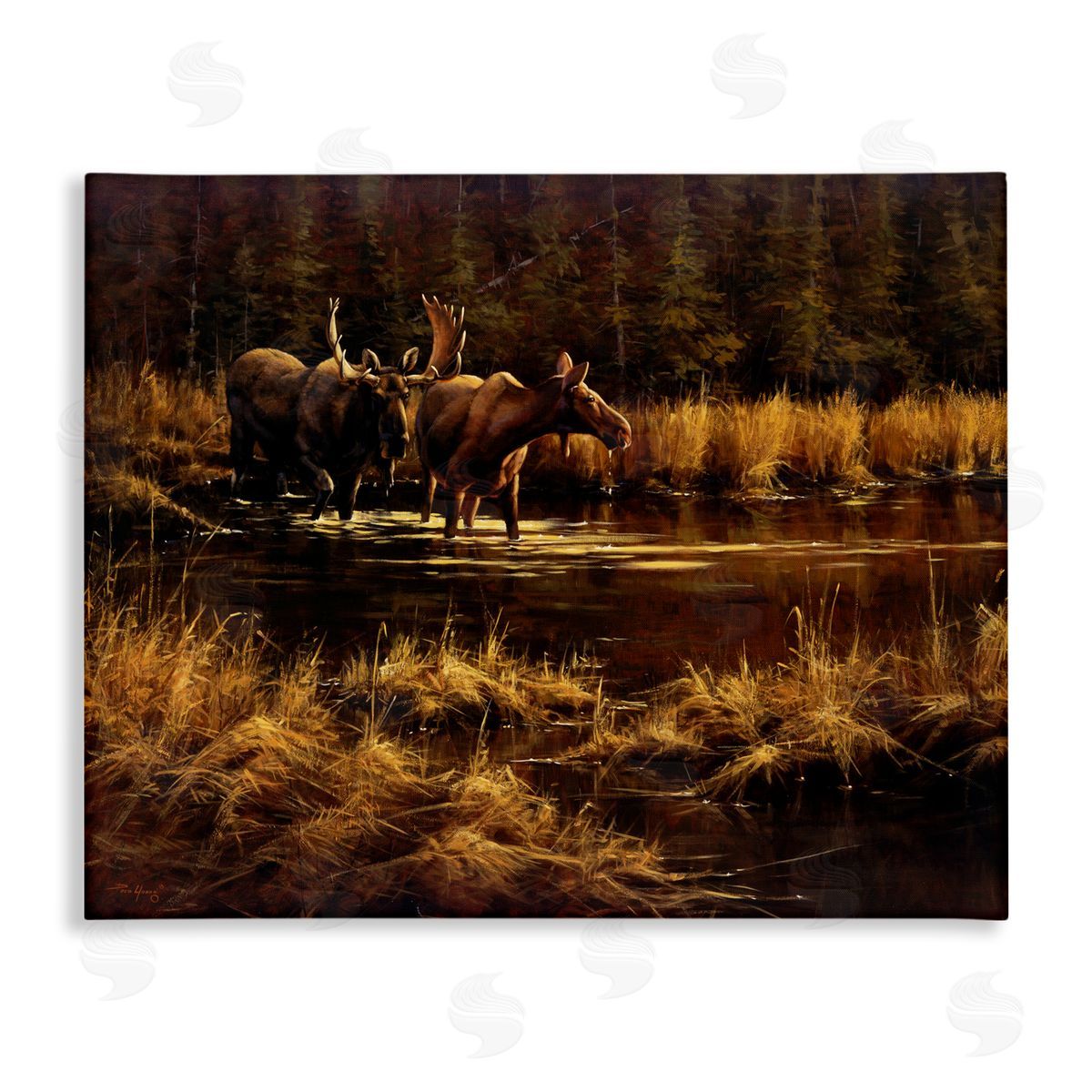Moose Pair at Stream Canvas Wall Art, Home Decor by Paco Young