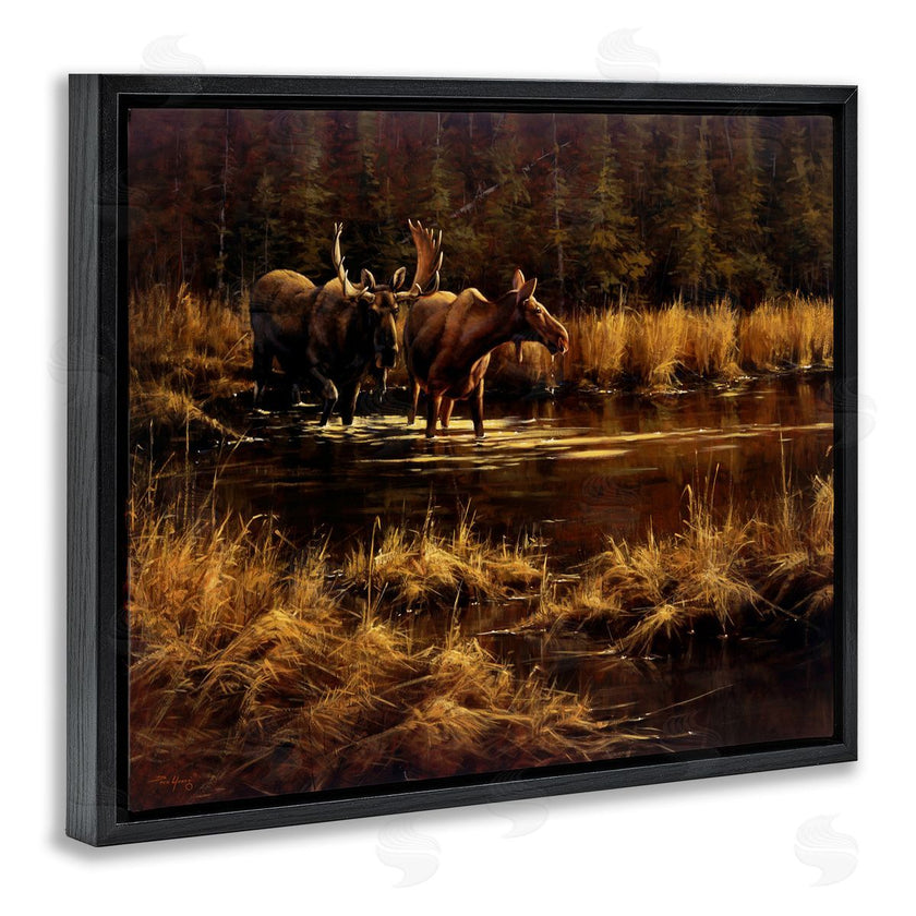 Paco Young | Moose Pair at Stream