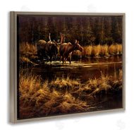 Paco Young | Moose Pair at Stream