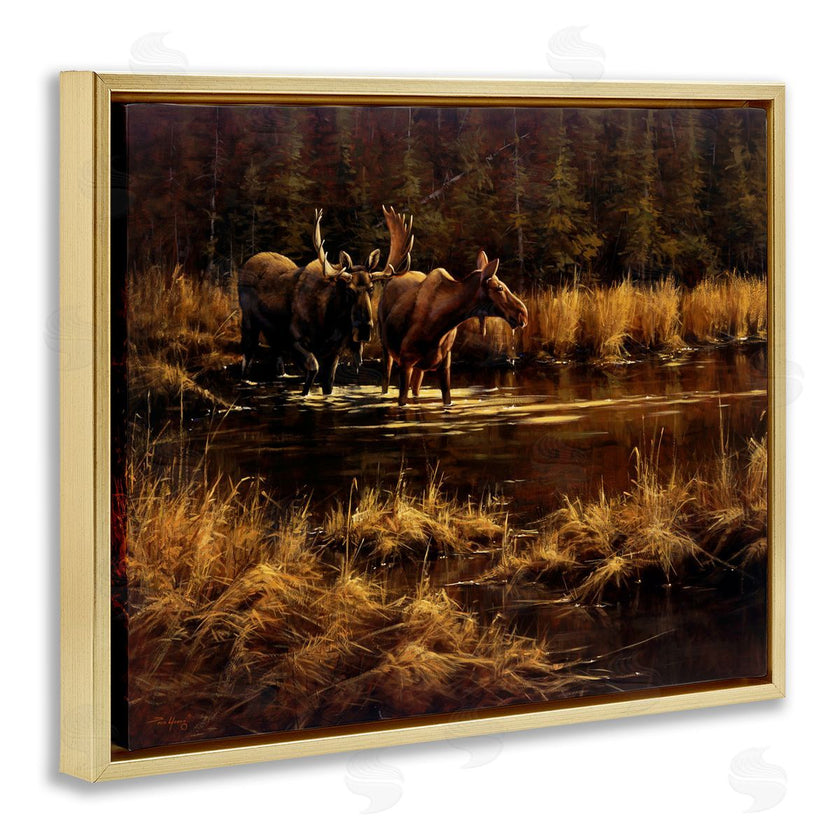 Paco Young | Moose Pair at Stream
