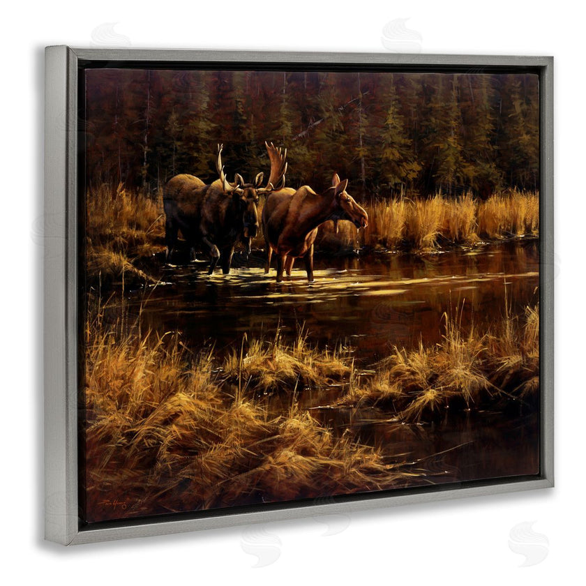 Paco Young | Moose Pair at Stream