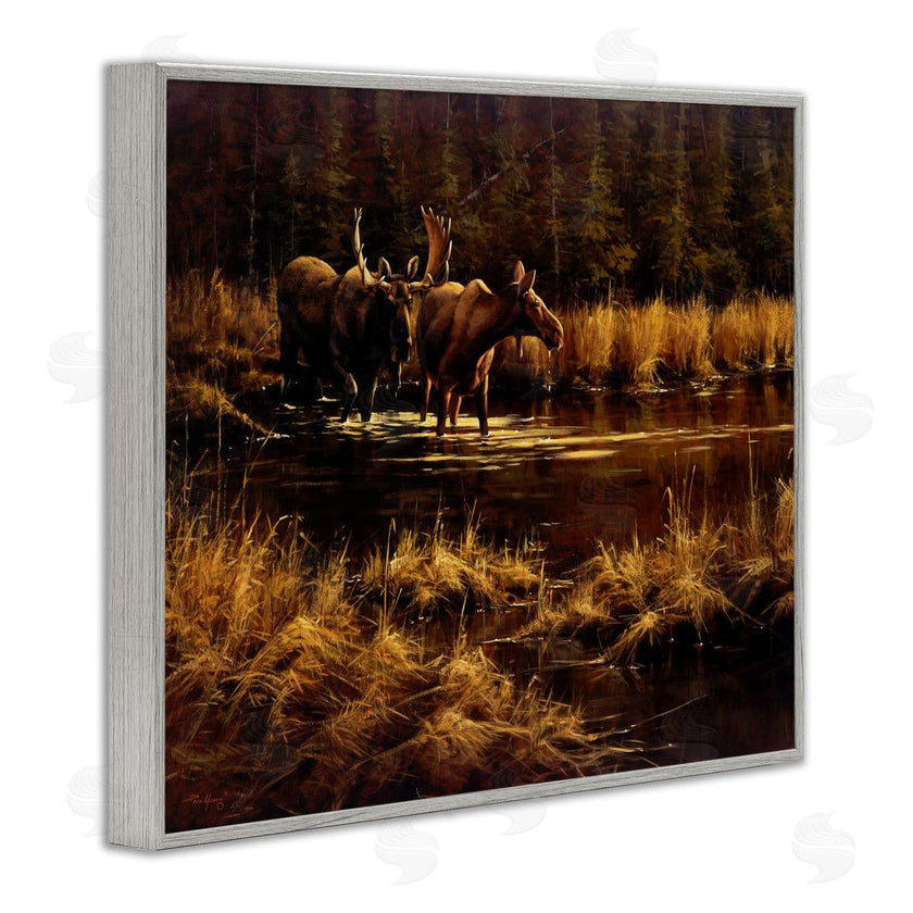 Paco Young | Moose Pair at Stream