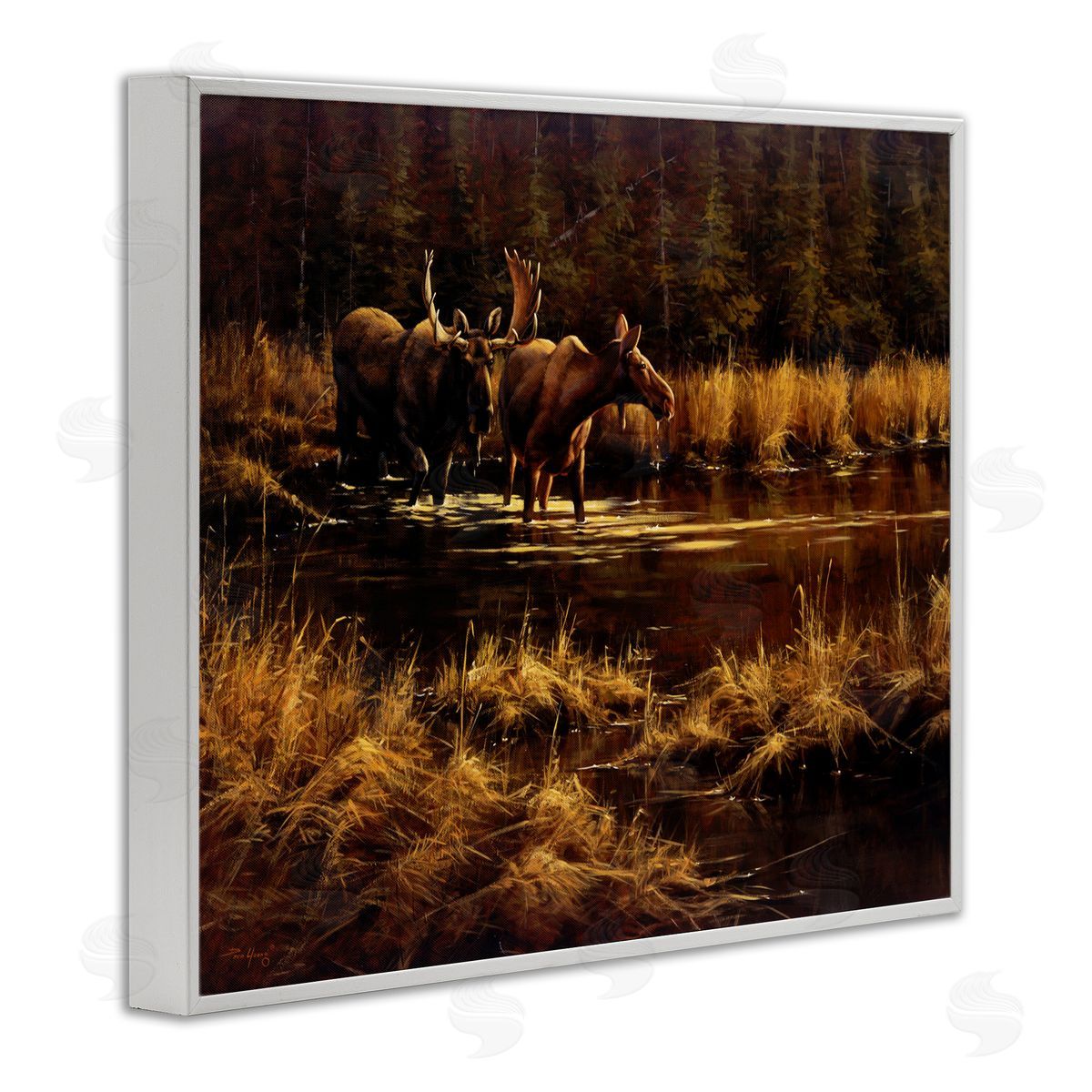 Moose Pair at Stream White Frame Print Wall Art, Home Decor by Paco Young
