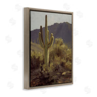 Paco Young | Bold Cactus Mountain Overlook
