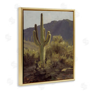 Paco Young | Bold Cactus Mountain Overlook