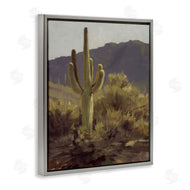 Paco Young | Bold Cactus Mountain Overlook
