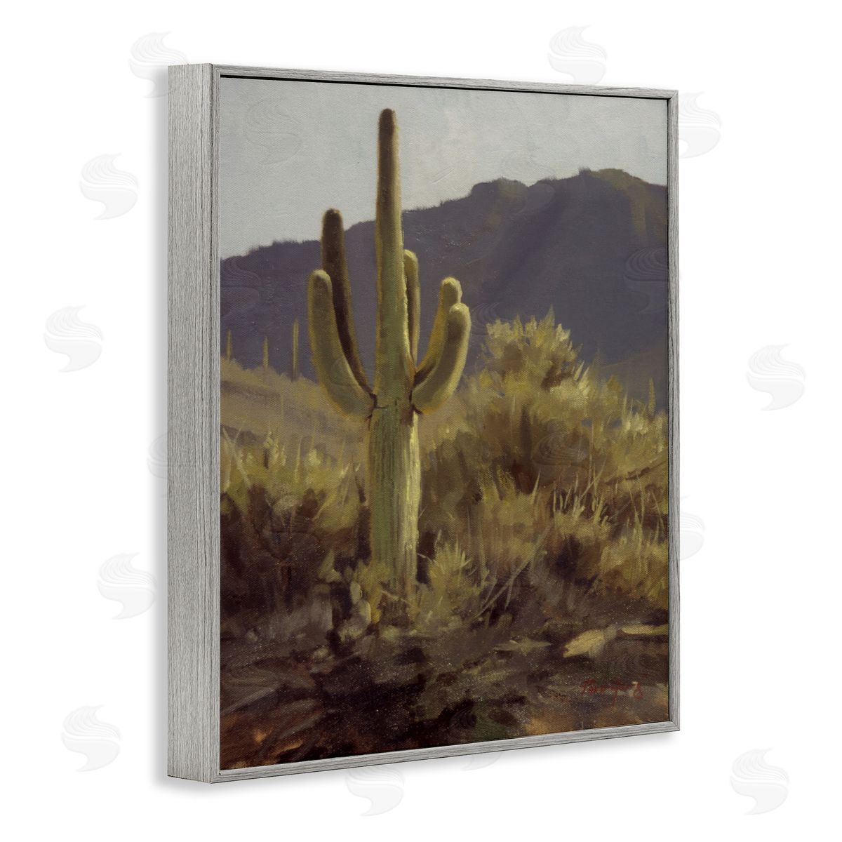 Bold Cactus Mountain Overlook Grey Frame Print Wall Art, Home Decor by Paco Young