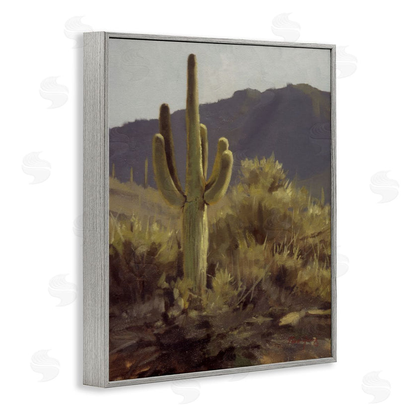 Paco Young | Bold Cactus Mountain Overlook