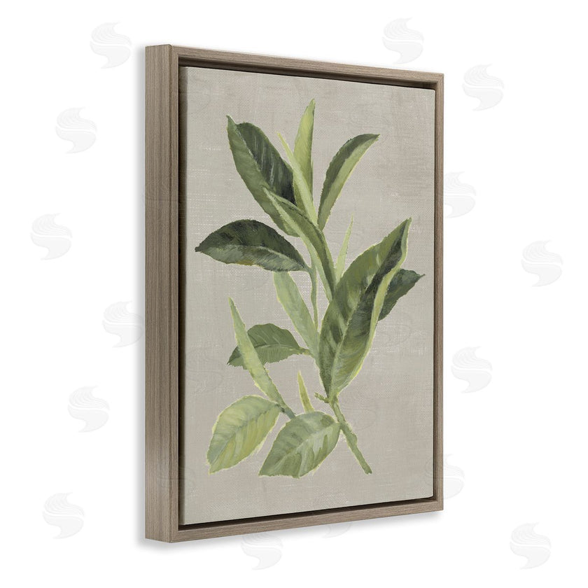 Lanie Loreth | Green Tea Plant Leaf