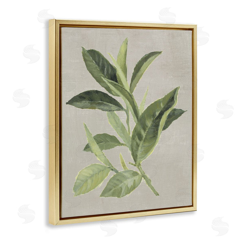 Lanie Loreth | Green Tea Plant Leaf