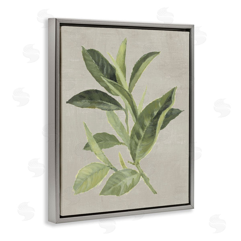 Lanie Loreth | Green Tea Plant Leaf